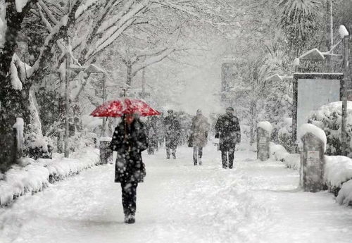 一路有你 雨雪天,你与宗申客车更配