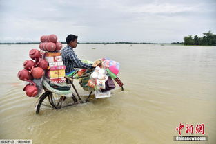 印度超35万人受洪水影响 民众竹竿搭桥秀技能 
