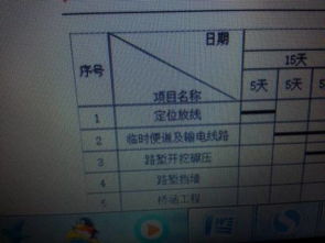 日期和项目名称是怎么写上去的,用Excel软件 