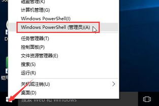 win10怎么样提升网速