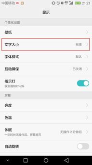 让手机上显示大字软件 