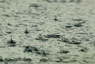 梦见梅雨