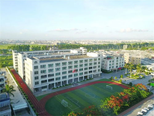 潮南区深溪明德学校(汕头市潮南区东山中学怎么样)