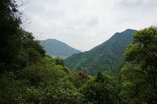 成都,川北自驾游之三 一一彭州丹景山观赏牡丹花游记 彭州游记 