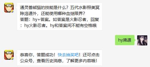 通灵兽熊猫的技能是什么 五代水影照美冥除溶遁外,还能使用哪种血继限界