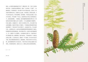 荐书 耄耋老人的植物情缘,还有52幅手绘植物插画 
