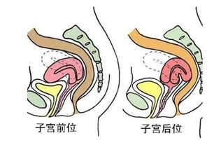 婆婆对儿子说 女人是不是一碰就 中奖 体质,身体3处不会说谎