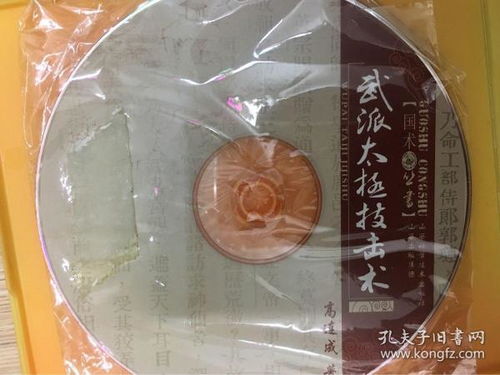 武派太极技击术 1VCD