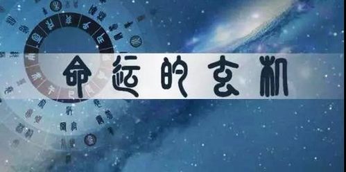 算八字 日坐偏财,适合创业做生意,48岁财走上坡,偏财频发的生肖