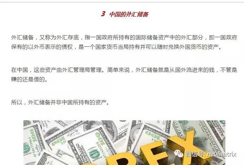 洗稿查重不求人：自助工具与技巧大揭秘