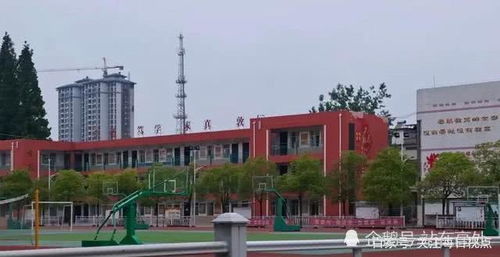信阳息县开学第一天 息县第二小学 校园安全事故致一人死亡