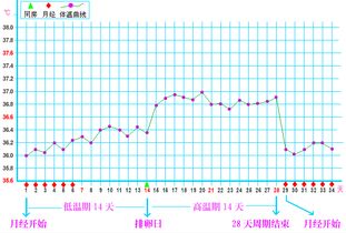 想要尽快怀孕 且看备孕成功人士的经验之谈