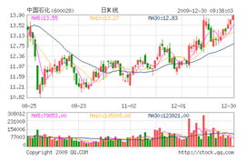 600028中国石化
