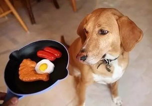 怎样判断狗狗有没有吃饱