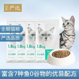 新手养猫必看 怎么选猫粮