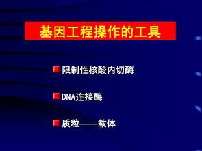 限制性核酸内切酶相关知识总结