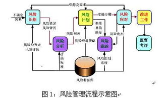 浙大网新kpo与bpo的区别，kpo与bpo 的风险