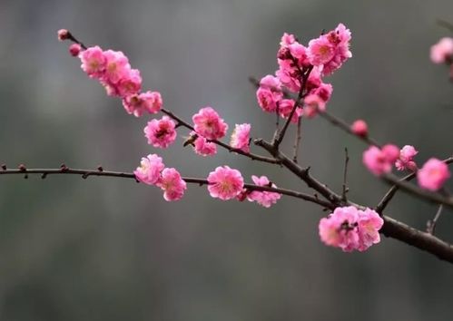 3月,天生桃花泛滥,情商高的4星座,轻易就能找到自己的真爱