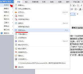 wps office怎么换格式 wps如何换格式