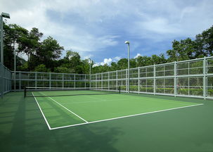 标准网球场尺寸(网球双打场地较单打场地)