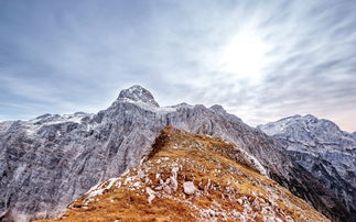 关于山顶风景的诗句