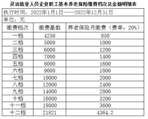 湖南灵活就业养老保险档次,2022年湖南灵活就业社保缴费档次表怎么填