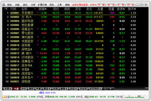 宏信证券 通达信怎么看股指期货