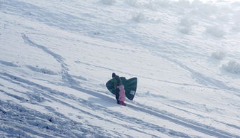 让我们在雪地里好好的撒次野 索尼55 200头抓拍