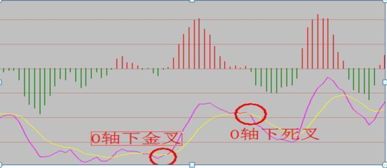 我国第一次全名炒股是哪一年