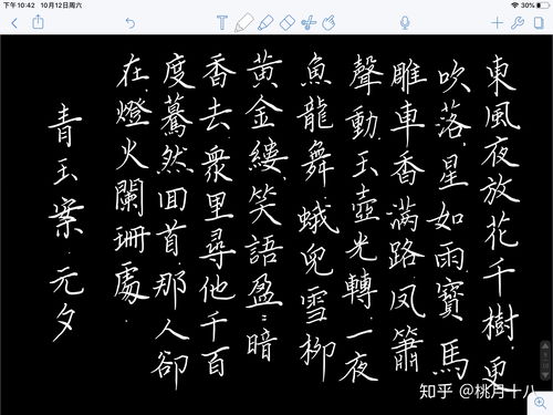 怎样用apple pencil 在ipad上写字好看 