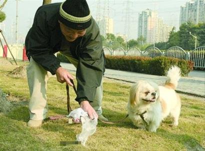 上海出台养犬管理条例 犬证费用或降至300元 