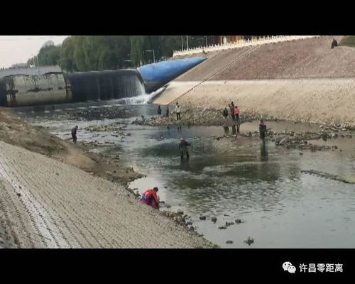 河道放水,却吸引了他们,唉