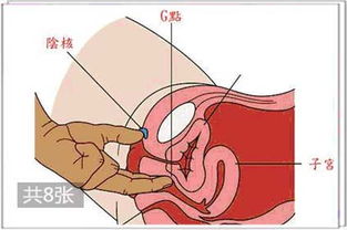 G点真的能给女人带来性高潮