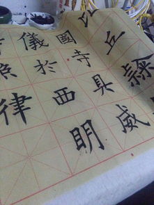 求30张米字格练字照片,不要好看的,写的一般的那种,要同一种字迹的 