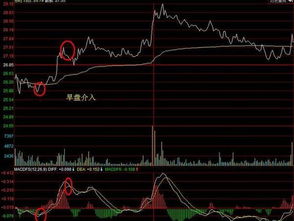 股票以433的方式介入是什么意思