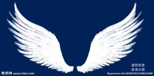 天使的翅膀图片 