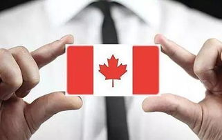 加拿大移民体检 哪些疾病会给您的移民申请带来麻烦