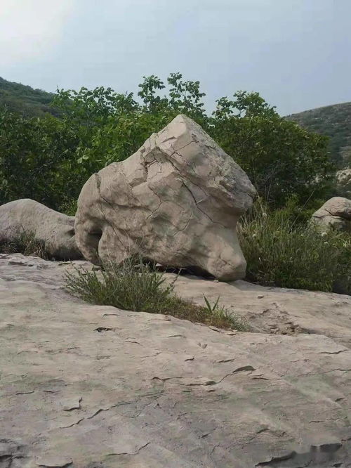 曹范街道有座石虎岭,你知道吗