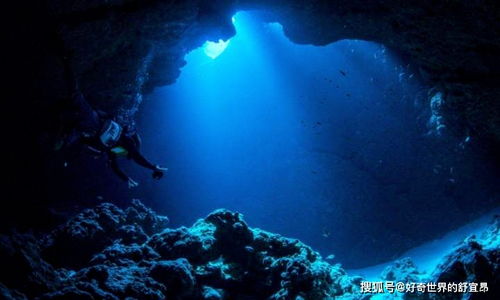 深海一片漆黑,却是生命的乐园,深海生物让人意外