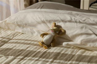 梦见床上有老鼠