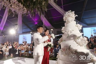 吴奇隆壕娶刘诗诗 咱3D打印婚礼壕的是黑科技