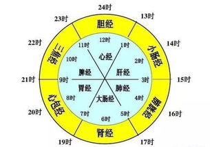 子午流注按时开穴法简介