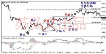 文化财经软件中怎么找斐波那契扩展线