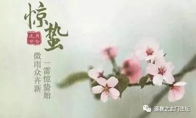 惊蛰醒梦,万物灵动