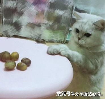 猫咪偷吃板栗被发现,一脸呆萌看向桌子,喵 我就吃个小的好吗