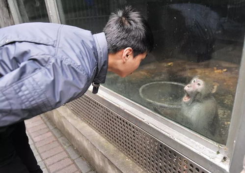 重庆动物园有个动物救护之家 