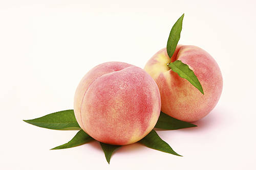桃子属于什么种类的水果 有哪些营养价值及功效 