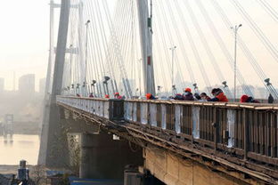 凤台淮河大桥换新装 安徽新闻 中安在线 
