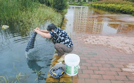 匡河 发大水 竟然 淹 了休宁路 图 