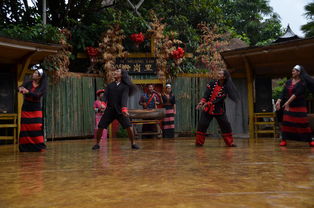 云南名族村佤族与布朗族歌舞